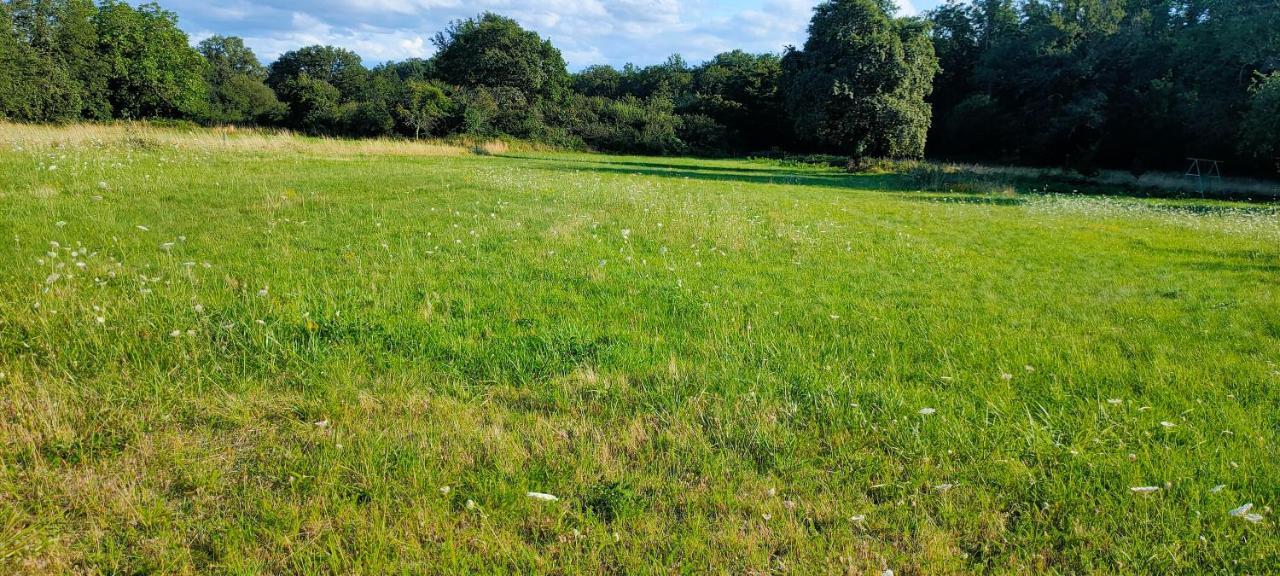 Le Champ Des Fougeres Villa Vicq-Exemplet Eksteriør bilde